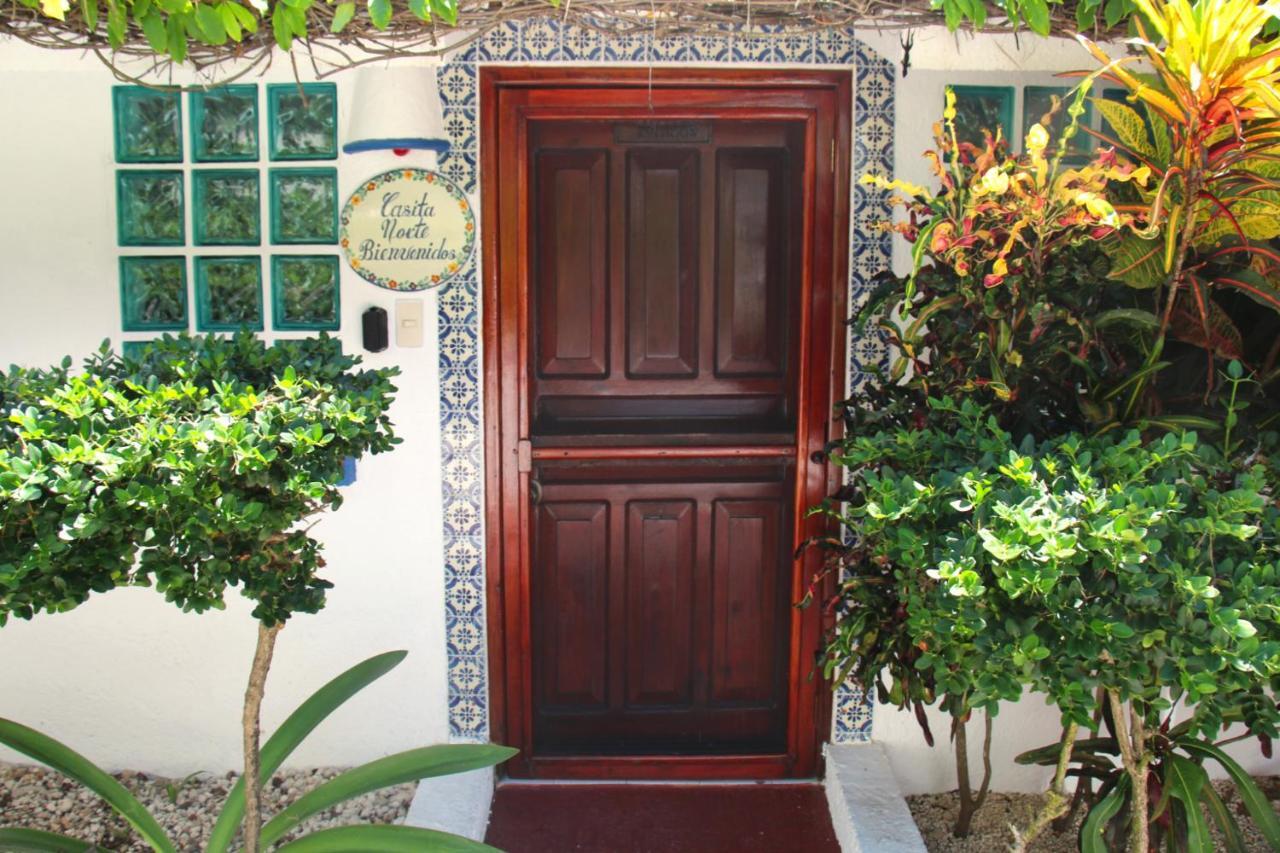 Beautiful & Cozy Studio In Akumal Paradise-Wifi, Ac Exterior photo