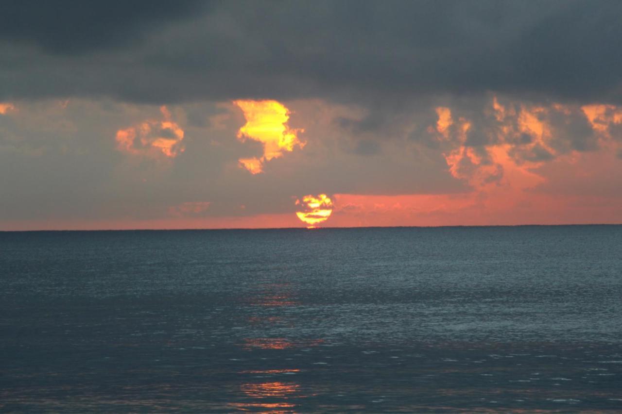 Beautiful & Cozy Studio In Akumal Paradise-Wifi, Ac Exterior photo